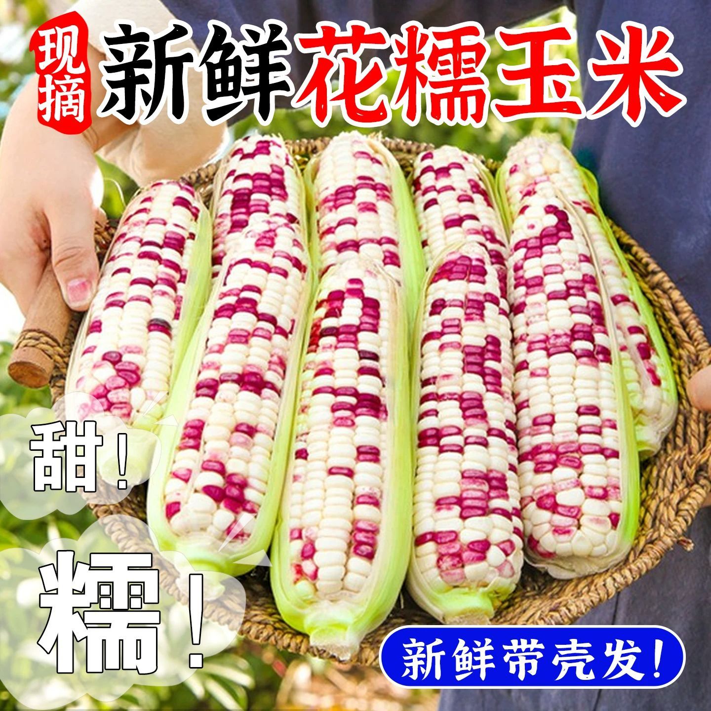 新鲜】花糯玉米甜糯花玉米新鲜带皮糯玉米代餐黏糯甜玉米整箱批发