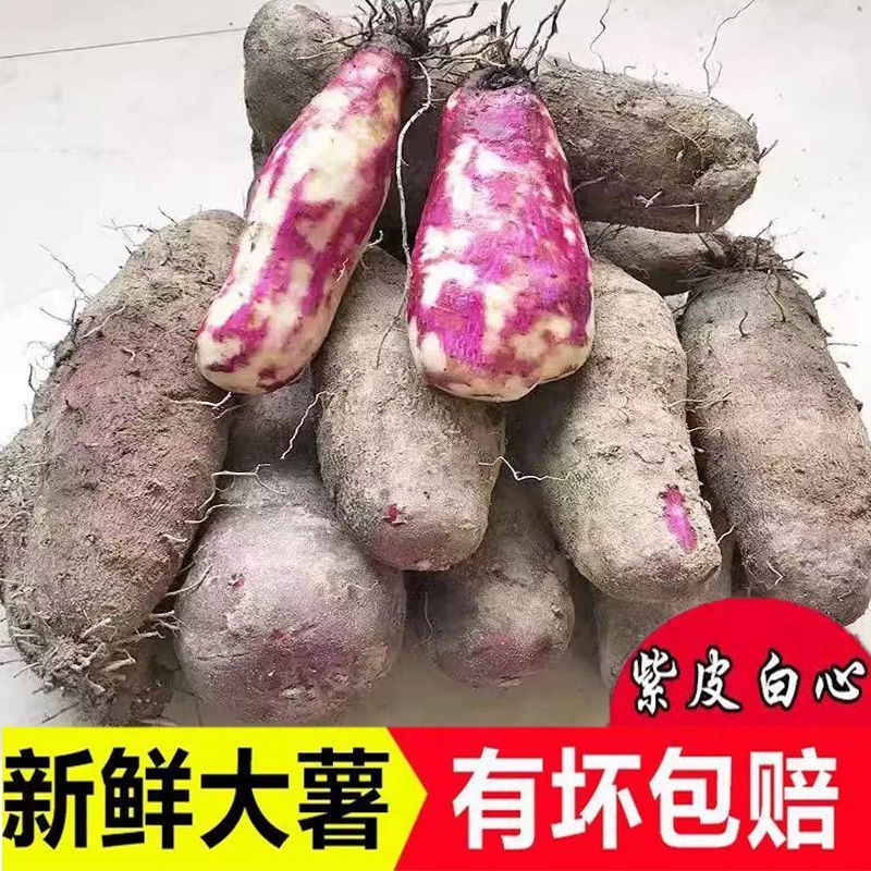 脚板薯紫皮白肉山药新鲜现挖大薯农家土特产毛薯蔬菜紫玉怀山包邮