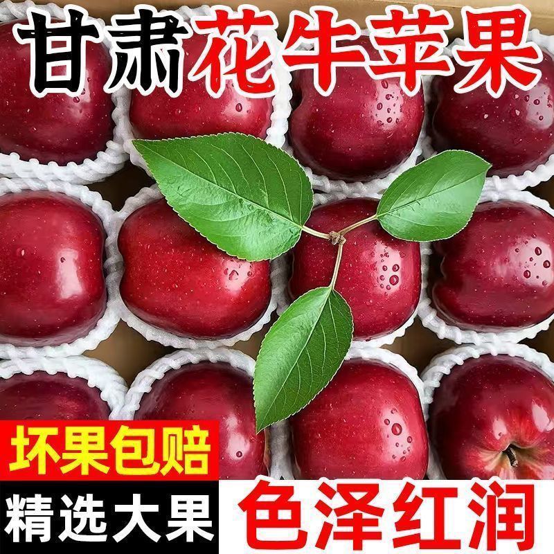 【天水直发】正宗甘肃天水花牛苹果宝宝辅食苹果粉面当季蛇果包邮