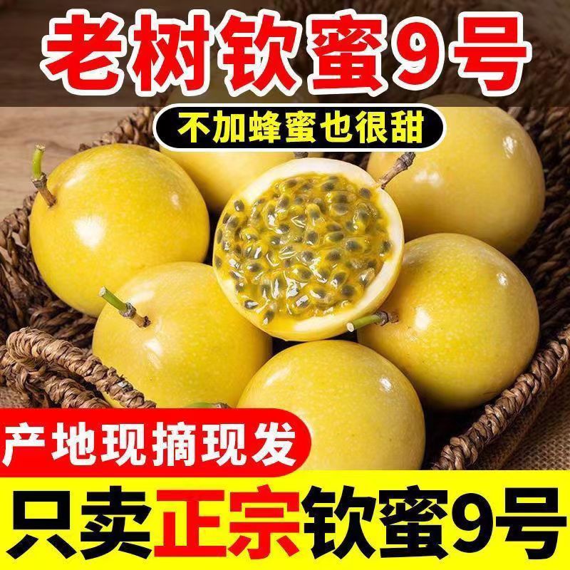 【正宗】钦蜜9号黄金百香果新鲜现摘现发云南广西福建当季水果