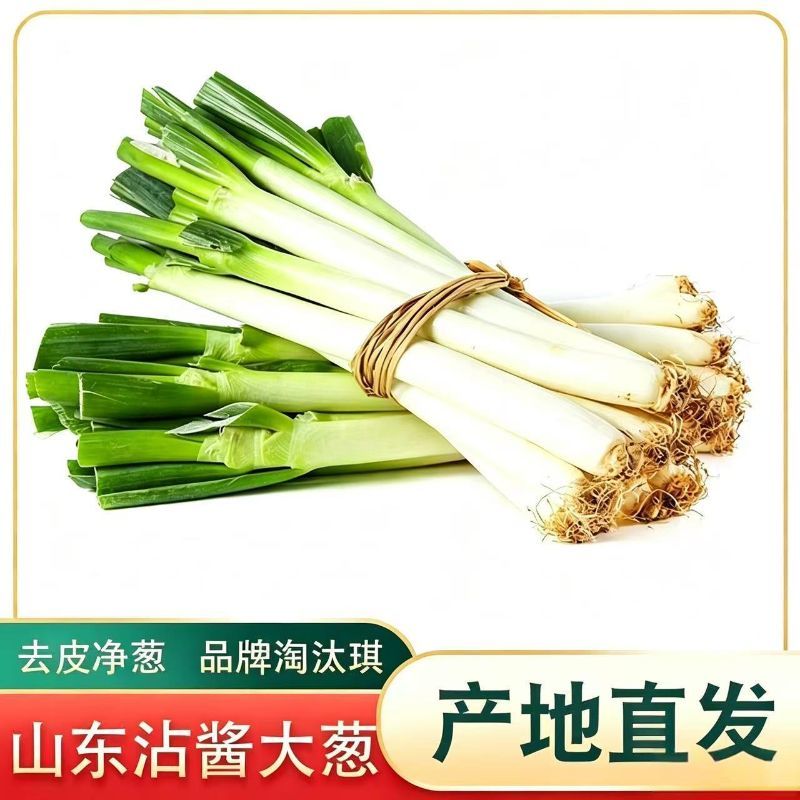 【彩箱装】山东新鲜大葱沾酱生食山东大葱去皮去半叶5斤