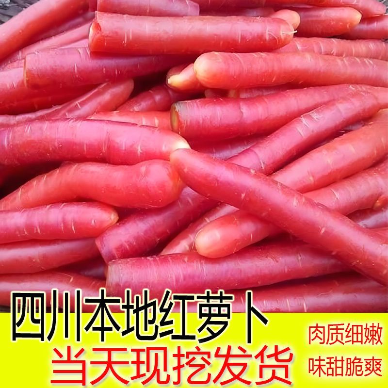 新鲜四川红萝卜农家胡萝卜老品种新鲜水果萝卜宝宝辅食手指萝卜