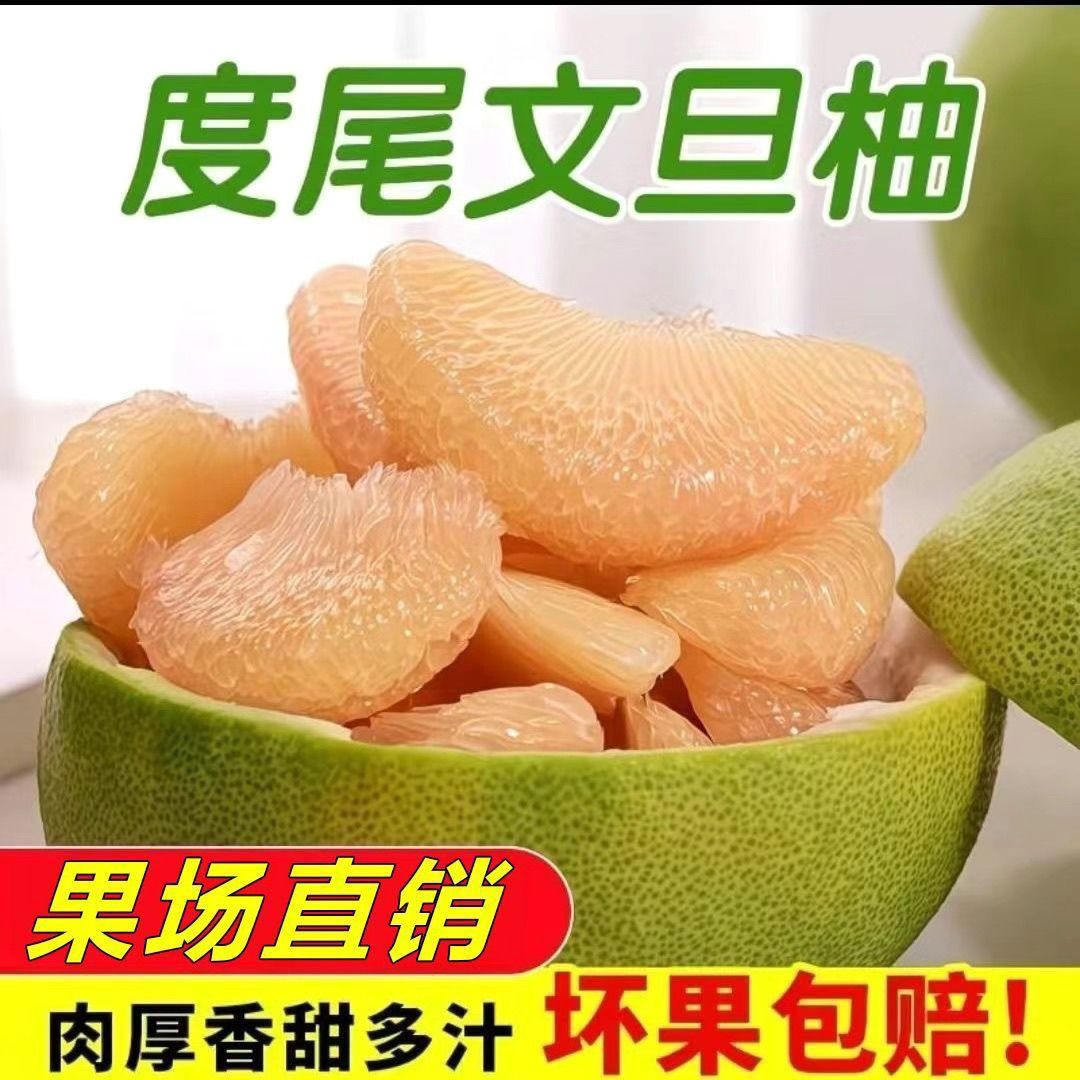 正宗福建仙游度尾文旦柚有孔柚子肉厚多汁当季现摘新鲜水果