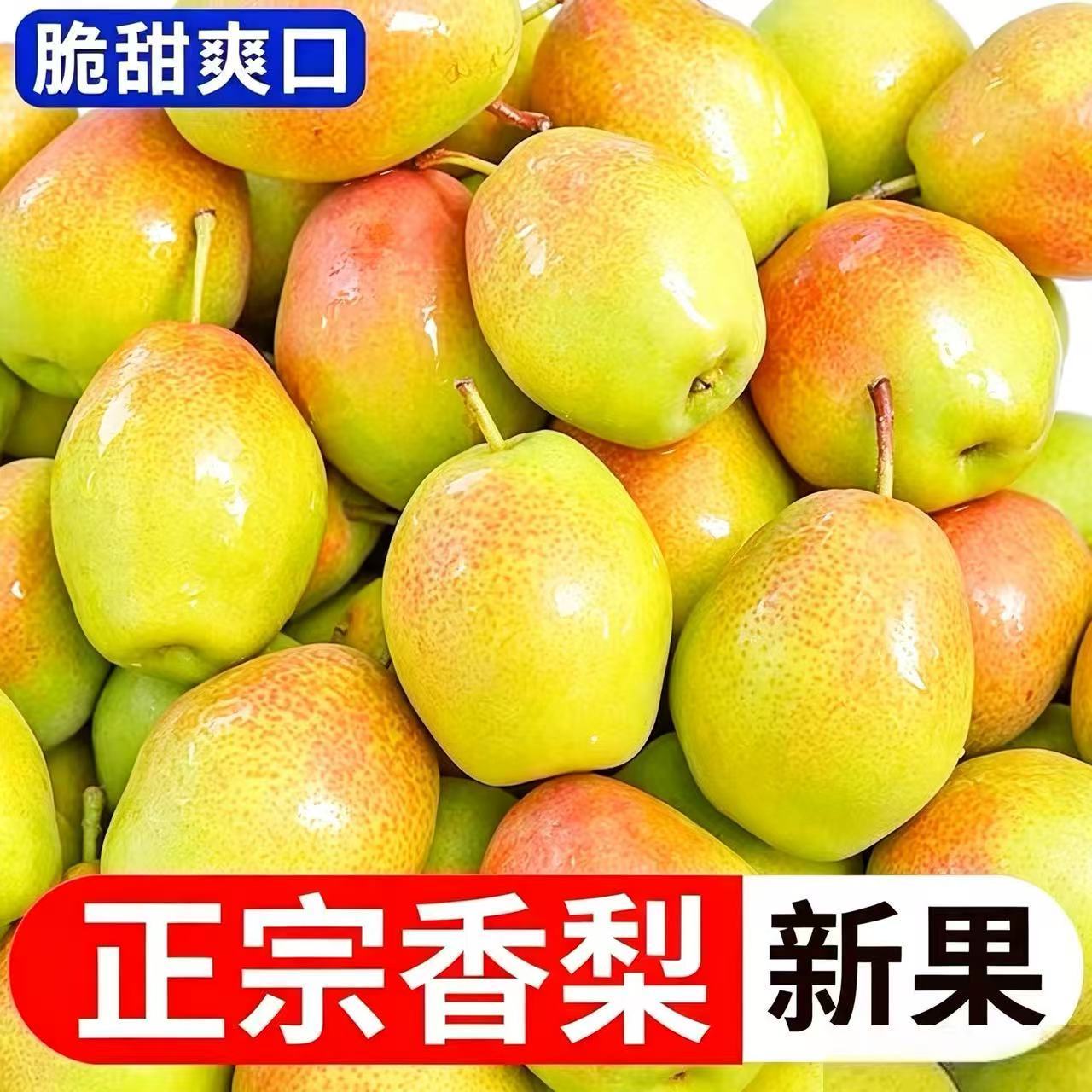 超低价】正宗红香酥梨现摘青红皮香梨新鲜水果当季应季整箱薄皮