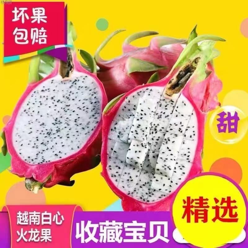 4应季正宗越南白心火龙果批发超甜进口热带水果新鲜白肉非红心