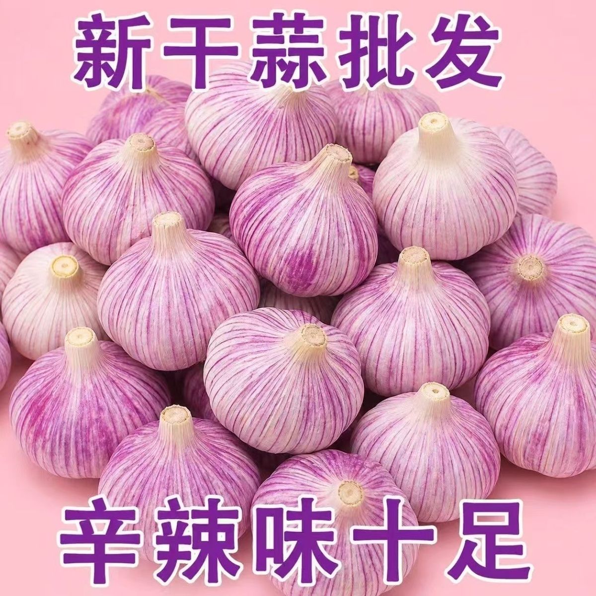 特大3斤箱装干蒜金乡山东紫皮大蒜头新干便宜批发50-55