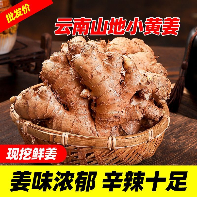 正宗云南姜月子黄姜生姜批发新鲜老姜蔬菜月子现挖自种整箱包邮