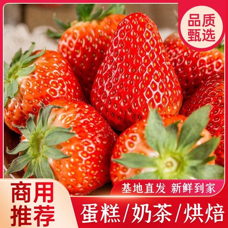 云南夏季双流草莓新鲜商用批发草莓酱奶茶店烘焙糖葫芦一整箱包邮