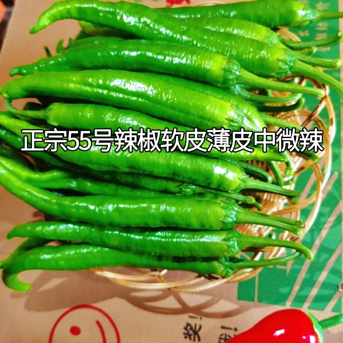 湘研正宗55号起青辣椒中微辣中辣软皮薄皮青椒小炒肉新鲜现摘现发