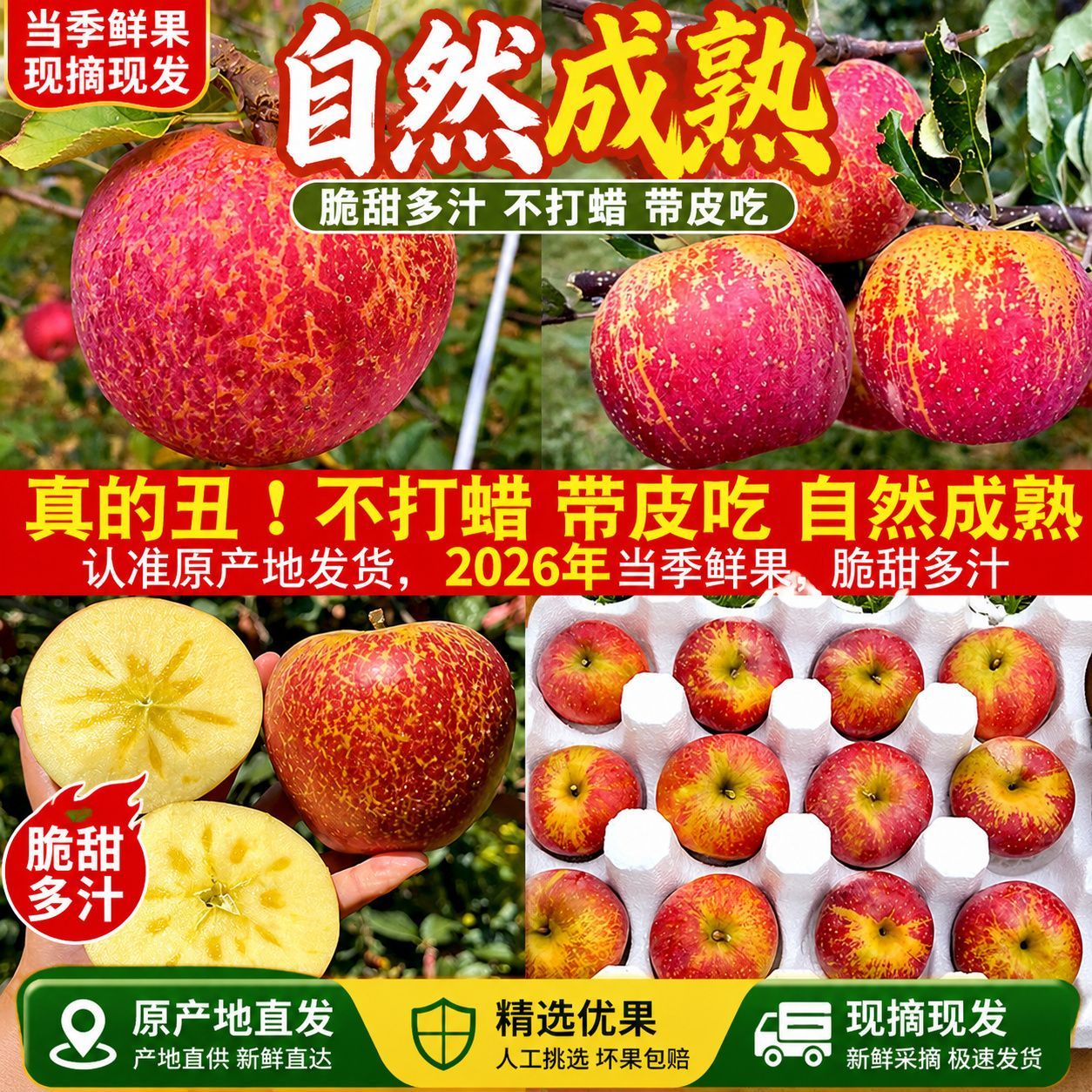 彩箱发货2026年云南昭通丑苹果新鲜丑苹果应季脆甜苹果整箱包邮