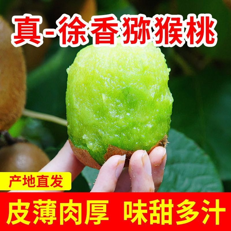 陕西徐香猕猴桃新鲜奇异果当季弥核桃水果非红心黄心泥猴桃批发