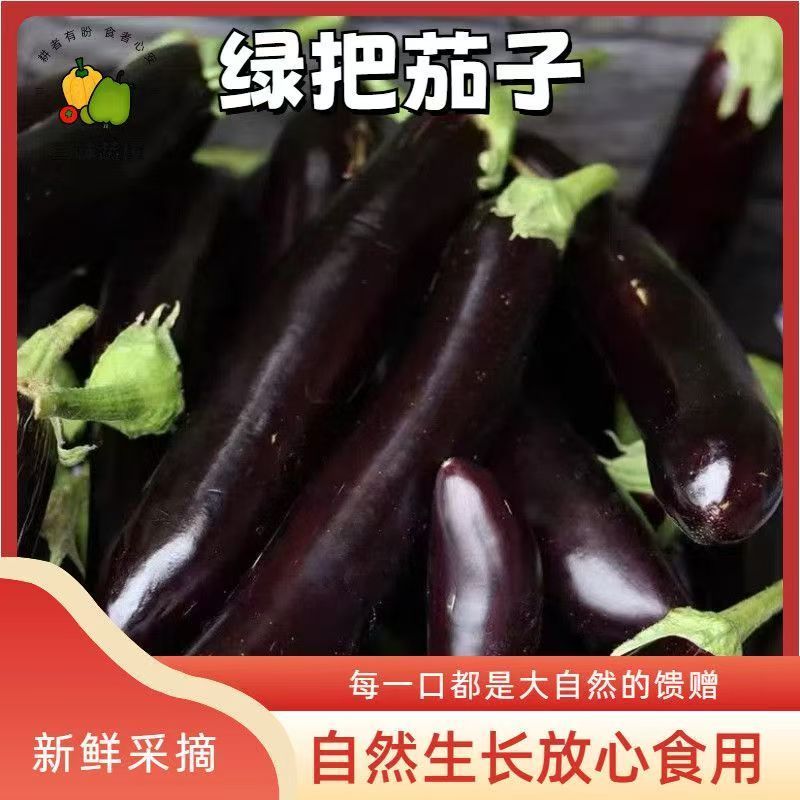 正宗烧烤茄子新鲜优质时令现摘产地直发当季紫皮蔬菜应季蔬菜长条