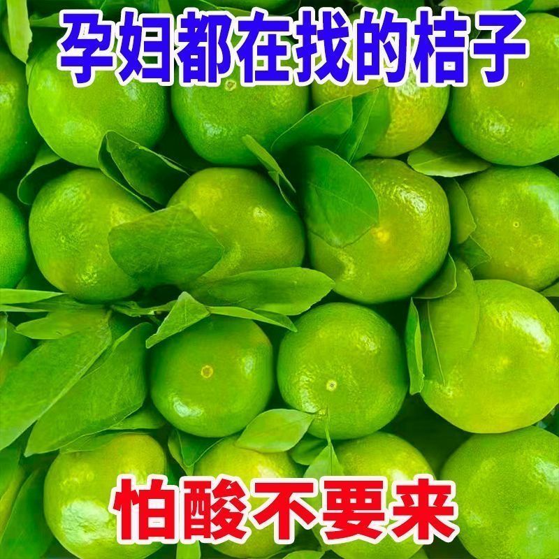 四川产地青皮蜜橘橘子桔子无籽新鲜现摘蜜桔酸甜当季水果孕妇薄皮
