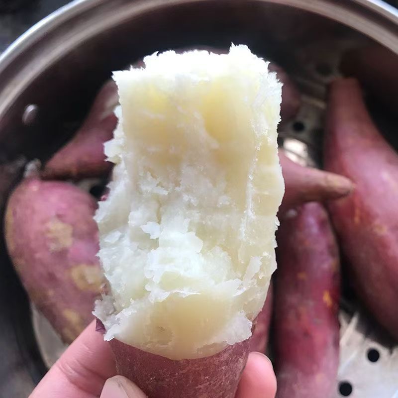 26年新鲜干面粉糯珍珠白心红薯农家地瓜番薯烤红薯白襄板栗薯