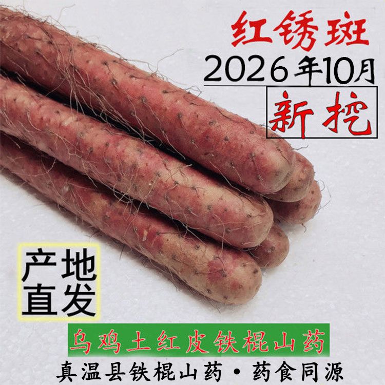 温县乌鸡土红皮铁棍山药正宗河南焦作新鲜粉糯怀山药铁杆山药淮山