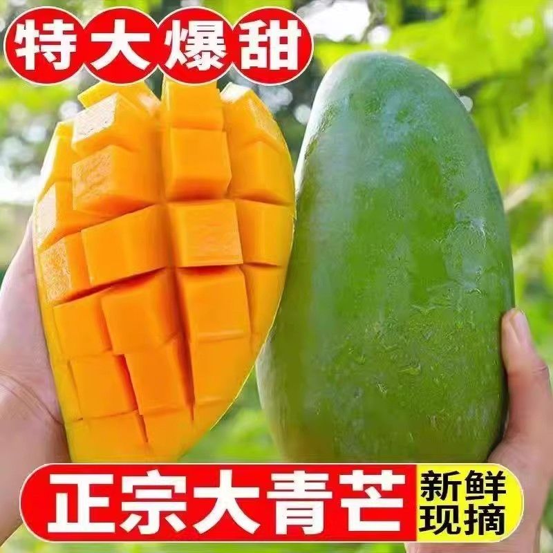 越南新鲜大芒果大青芒当季水果整应季特大金煌芒果甜心芒青皮芒果