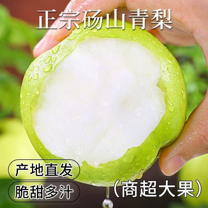 【果园直发】砀山青皮梨皇冠梨苹果梨薄皮脆甜新鲜水果批发整箱