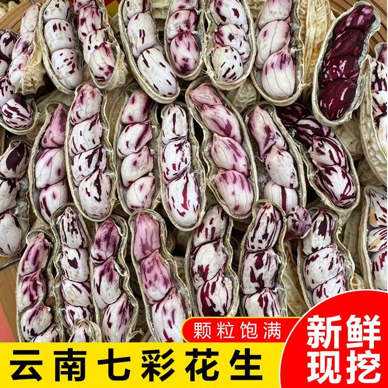 彩箱云南七彩花生新鲜现挖湿花生特产农家应当季牛奶嫩花生3.5斤
