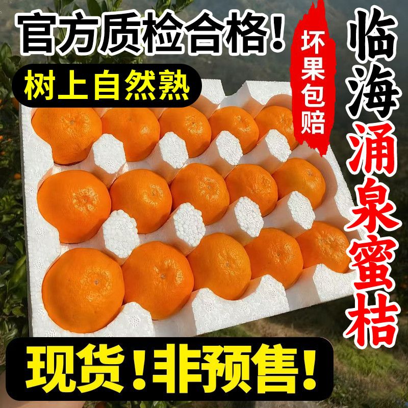 正宗临海涌泉蜜桔子当季新鲜水果带箱5斤柑橘现摘无核薄皮甜