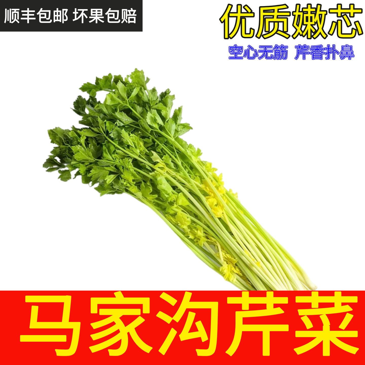【空运】正宗平度马家沟芹菜精品空心礼盒装新鲜采摘现挖优质