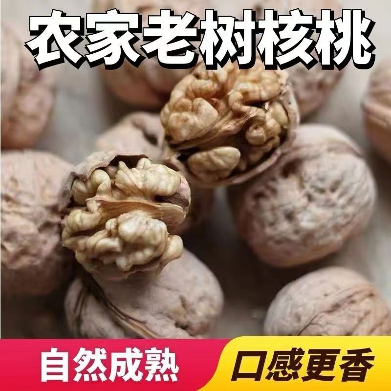 正宗陕西秦岭核桃商洛农家野生山核桃老树核桃无漂白厚皮核桃干货