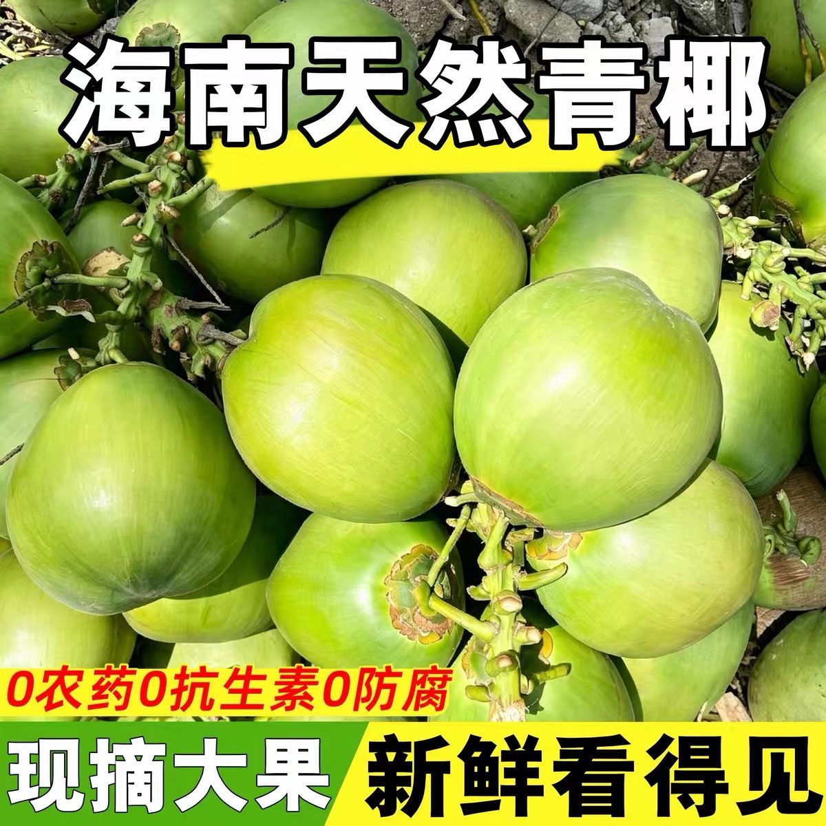 带皮椰青孕妇水果海南文昌新鲜椰子现摘带皮水果青椰整箱直发