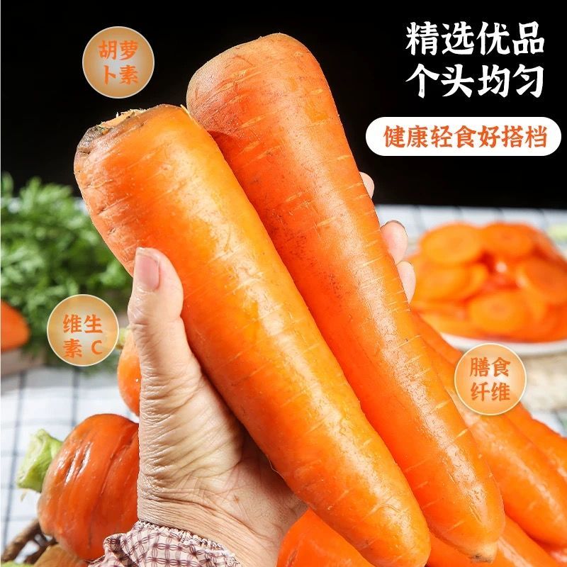 胡萝卜精品水洗生吃脆甜新鲜胡萝卜营养蔬菜5斤装