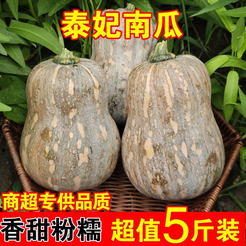 泰妃南瓜奶油面甜花生老南瓜板栗味非贝贝南瓜老人宝宝辅食新鲜