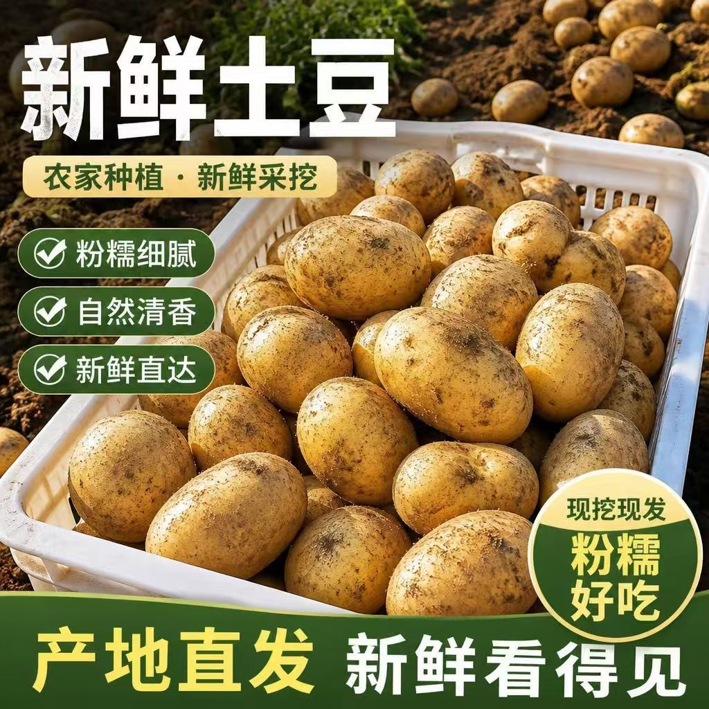 2026正宗黄心土豆新鲜黄皮蔬菜现挖农家马铃薯洋芋便宜批发