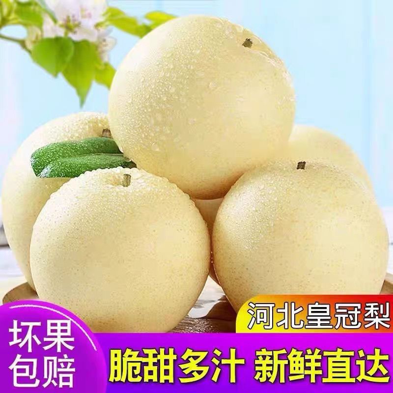河北正宗皇冠当季砀山水果梨子新鲜多汁薄皮整箱批发10斤酥梨雪梨