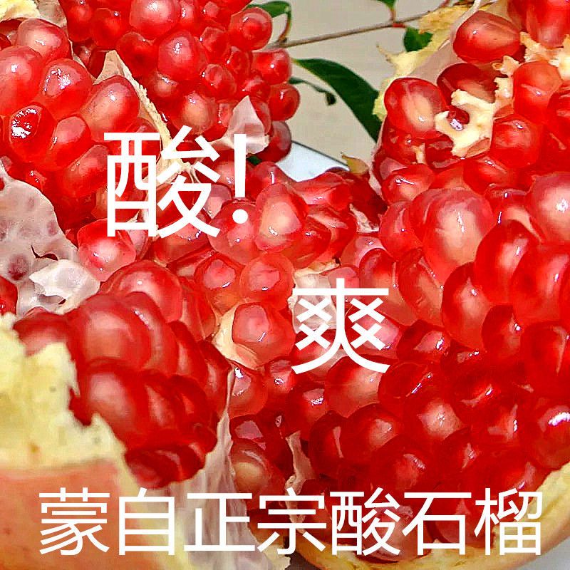 【地标授权】酸石榴特大果云南蒙自正宗酸石榴新鲜半口酸甜酸石榴
