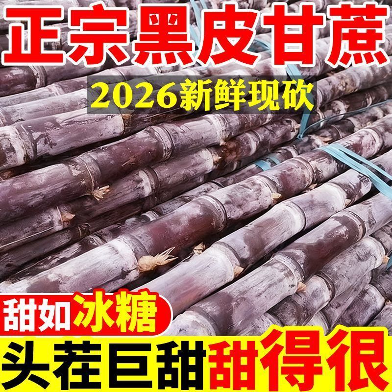 广西黑皮甘蔗新鲜孕妇应季水果精选中段甘蔗脆甜