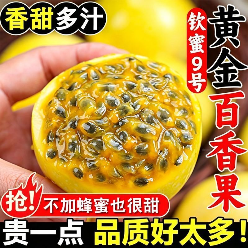 精选钦蜜9号黄金百香果新鲜水果孕妇当季整箱百香果原果浆甜
