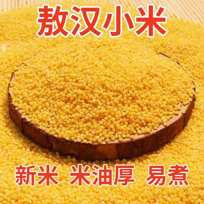 正宗敖汉小米黄金苗k1内蒙古赤峰特产农家杂粮粗粮黄小米煮粥粘稠