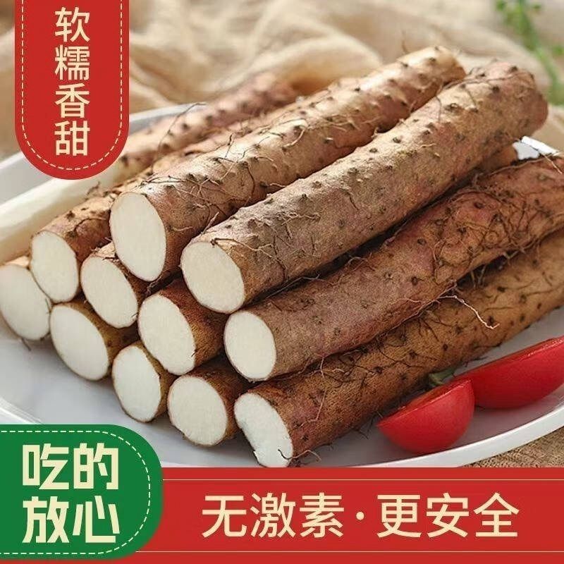 当季现挖新鲜焦作温县真垆土铁棍山药农家正宗垆土铁棍山药直发