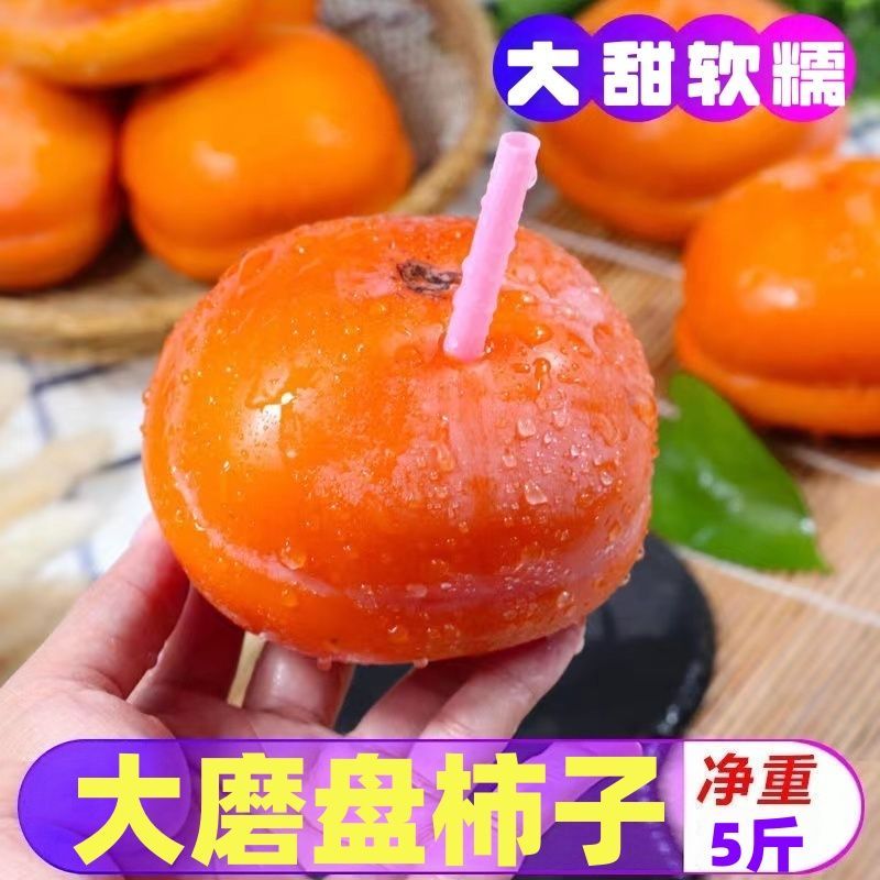 棕特河北磨盘柿子沟柿子大盆柿软柿子5斤放软撕皮吃大柿子新鲜盖