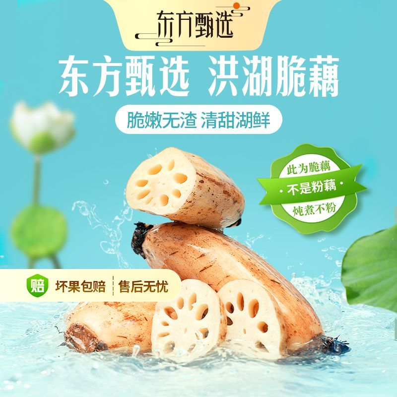 【东方甄选】洪湖脆藕莲藕脆藕脆嫩爽口饱满拉丝新鲜蔬菜坏果包赔
