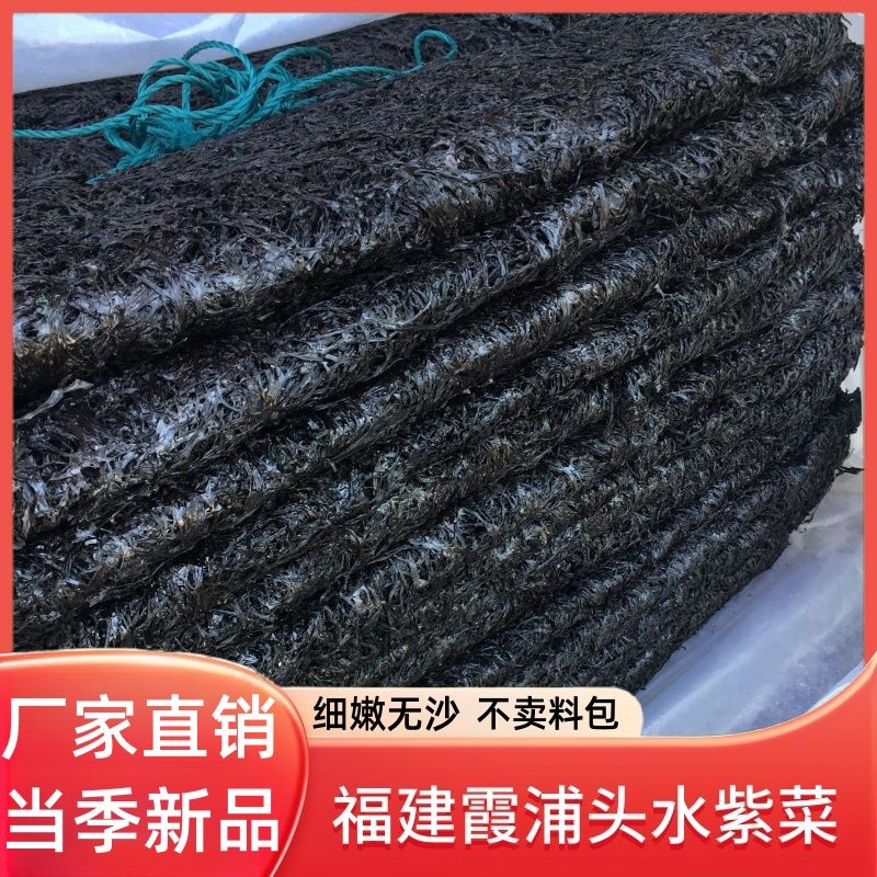 霞浦头水紫菜干货紫菜蛋汤凉拌商用散装福建优质特产煲汤