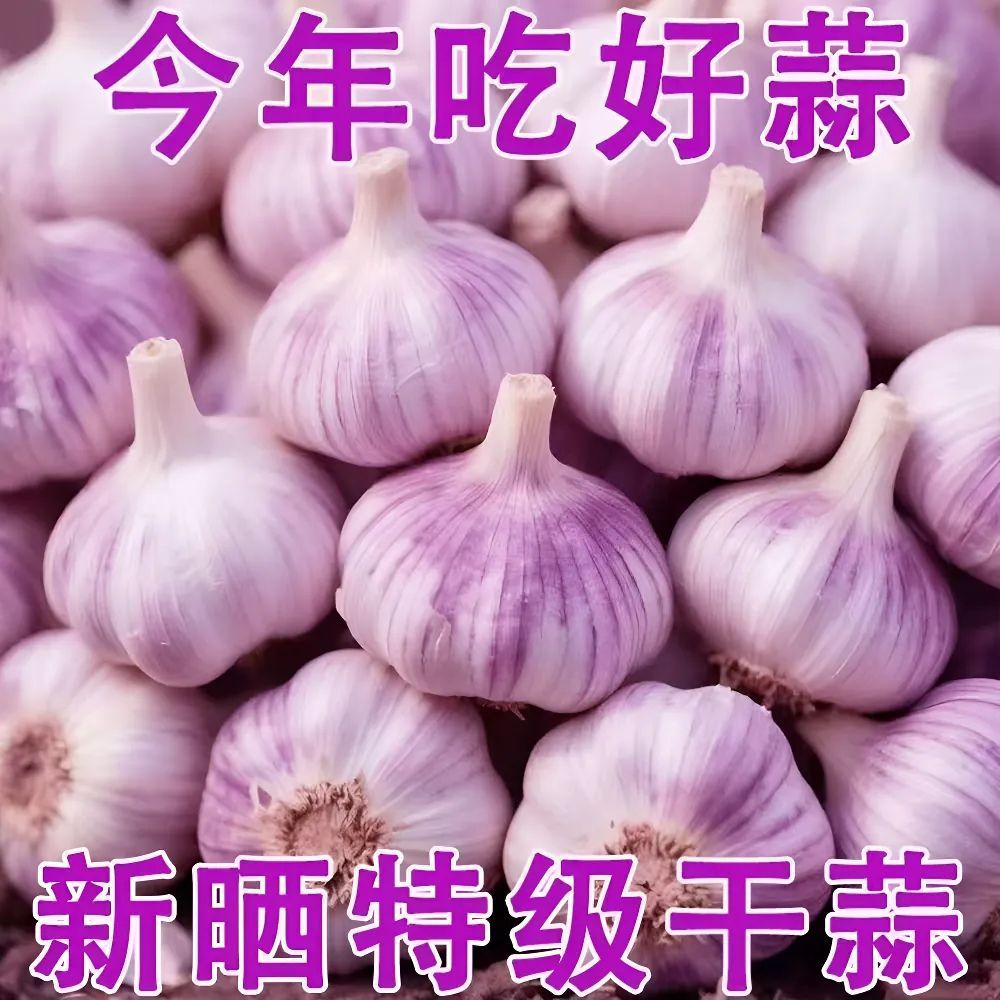 【干大蒜头】大蒜干蒜大蒜紫白皮大蒜头紫皮大蒜子当季干蒜5斤