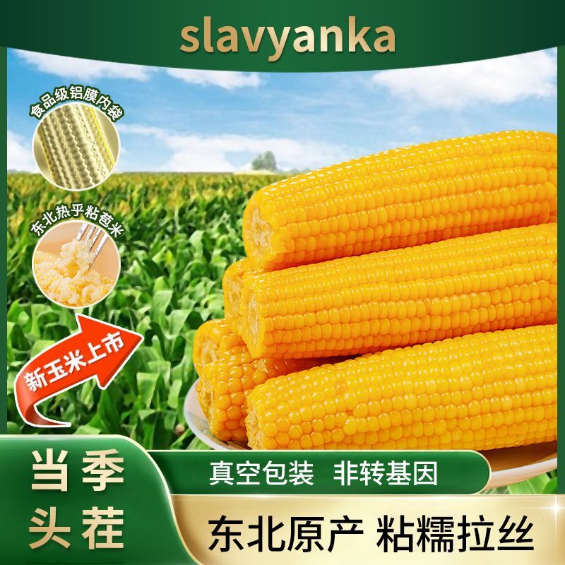 26年新鲜黄糯玉米东北糯玉米真空装加热即食正宗东北黏糯玉米粗粮