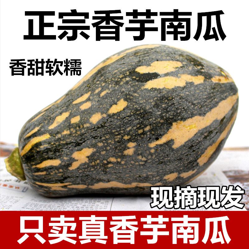 正宗香芋南瓜农家新鲜蔬菜甜糯粉糯甜板栗南瓜宝宝辅食非贝贝南瓜