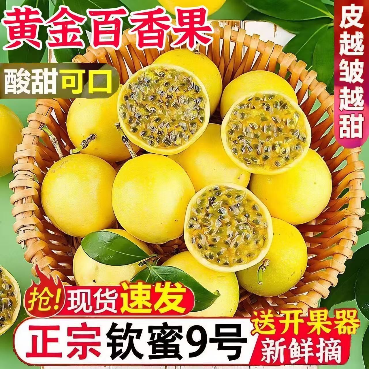 广西钦蜜九号黄金百香果正宗海南黄金百香果应季新鲜孕妇水果批发
