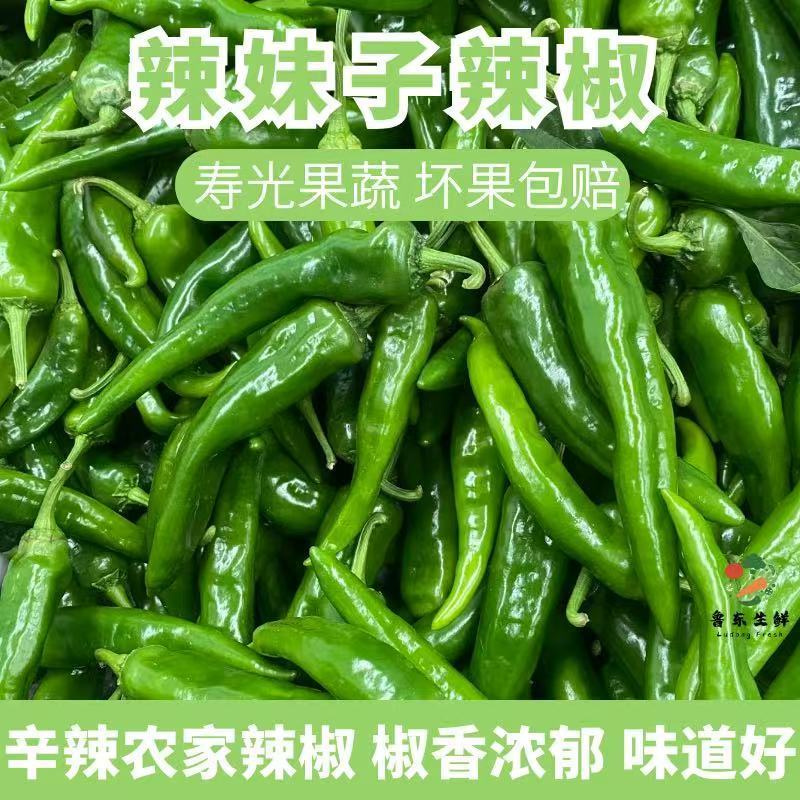 辣妹子辣椒薄皮小青椒尖椒虎皮尖椒朝天椒小米椒自然熟农家种植