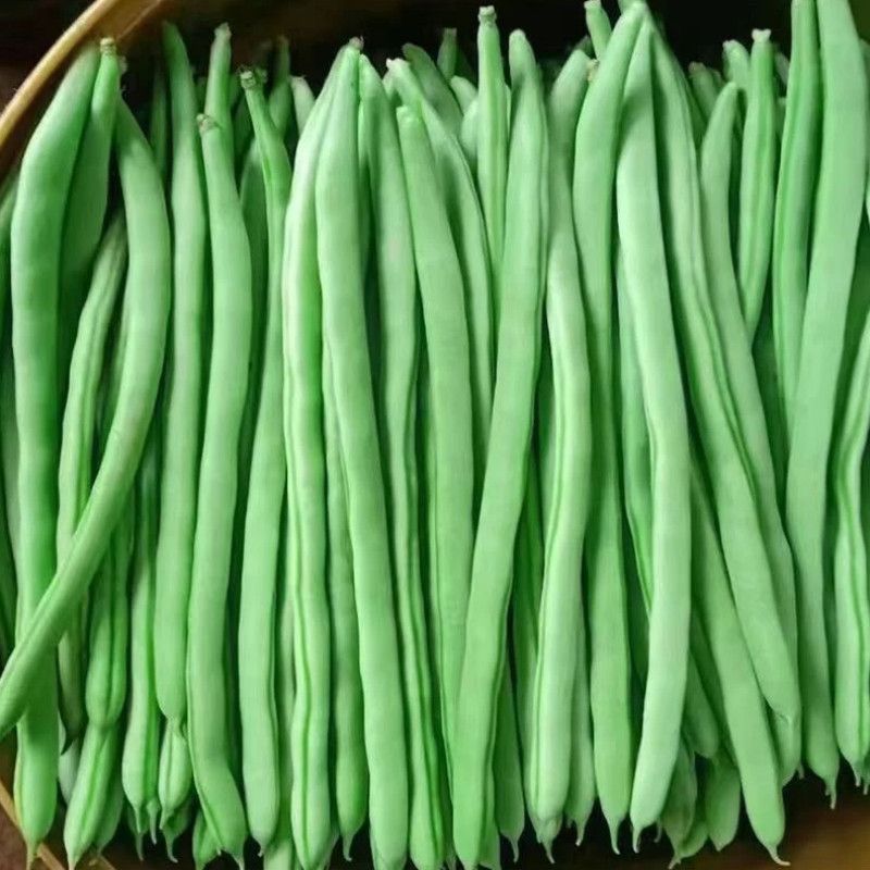 (5斤)云南高山四季豆小金豆当季新鲜蔬菜无筋豆长豆角扁豆批发