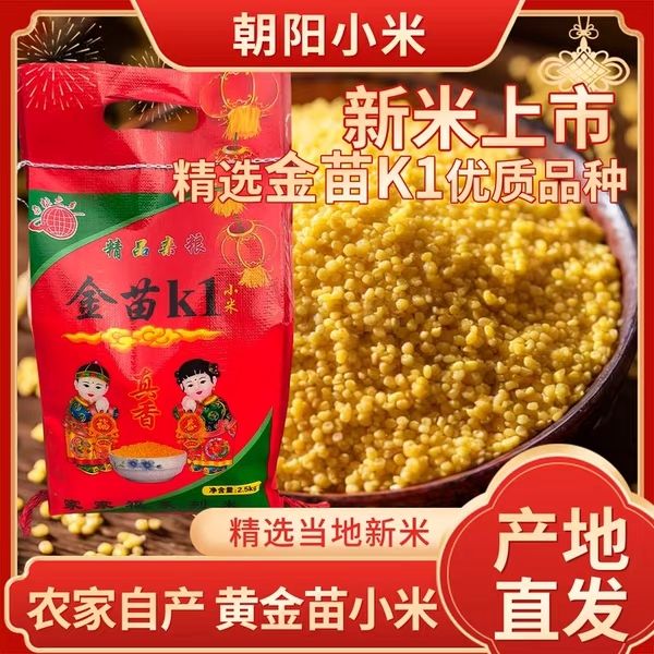 朝阳小米大嘎图小米金苗K1小米黄小米农家自产小米严选当季黄金