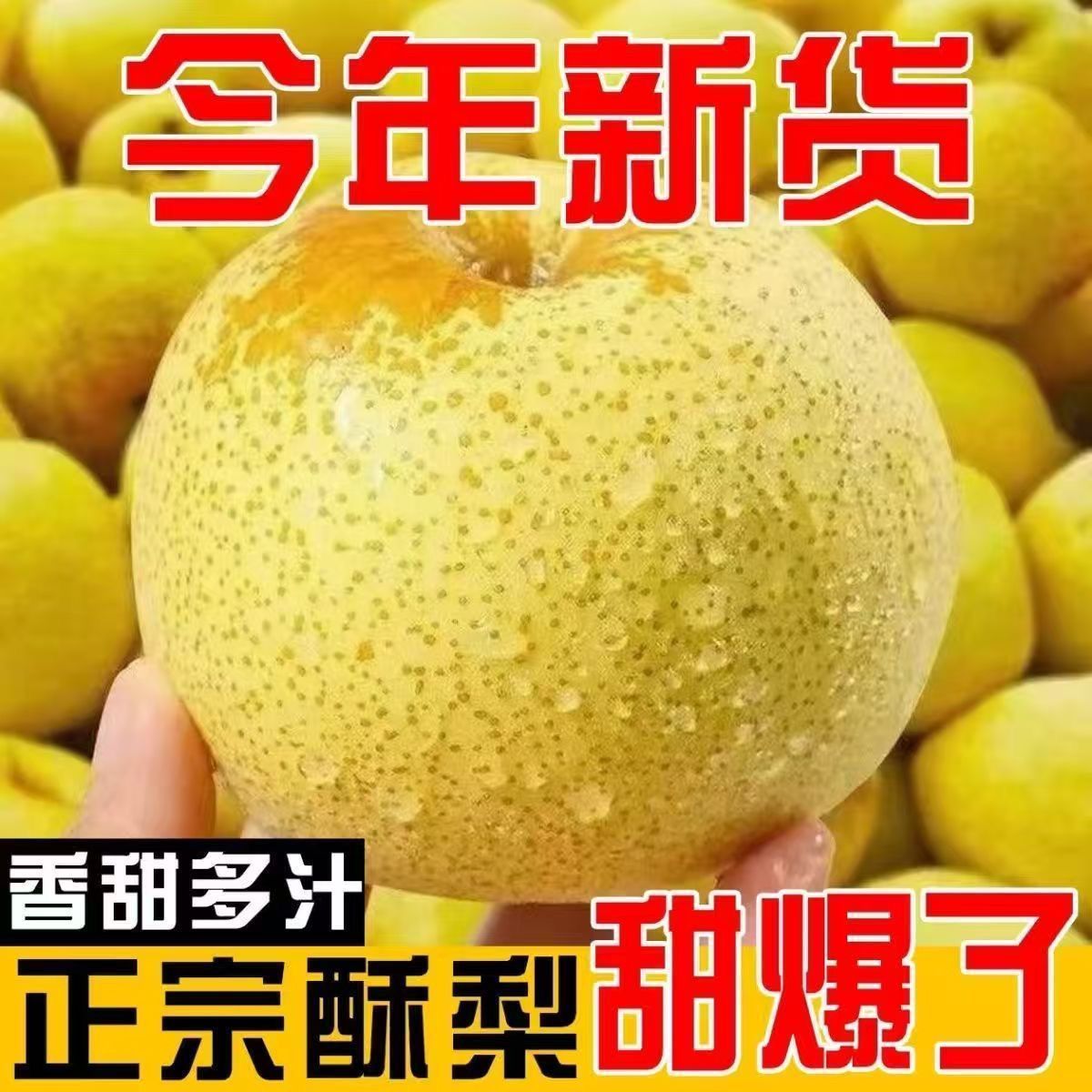 正宗山西酥梨清甜多汁当季无渣水果梨子酥脆新鲜果肉整箱产地批发