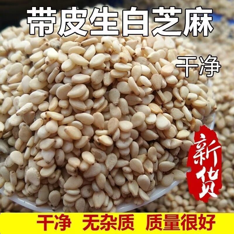 带皮生白芝麻散装农家自种新货批发精选烘焙芝麻生白芝麻