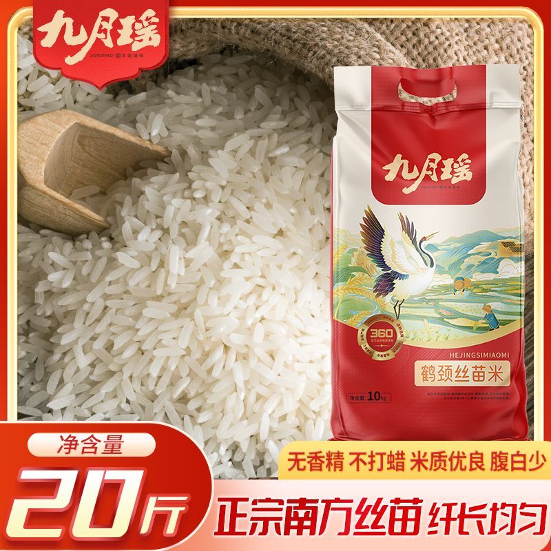【九月瑶】鹤颈丝苗米20斤当季新米长粒香米象牙米猫牙米饭店家用大米