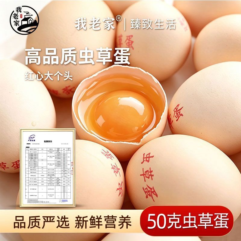 【我老家】50克高品质虫草蛋喂养鸡蛋山林散养新鲜鸡蛋营养破损赔