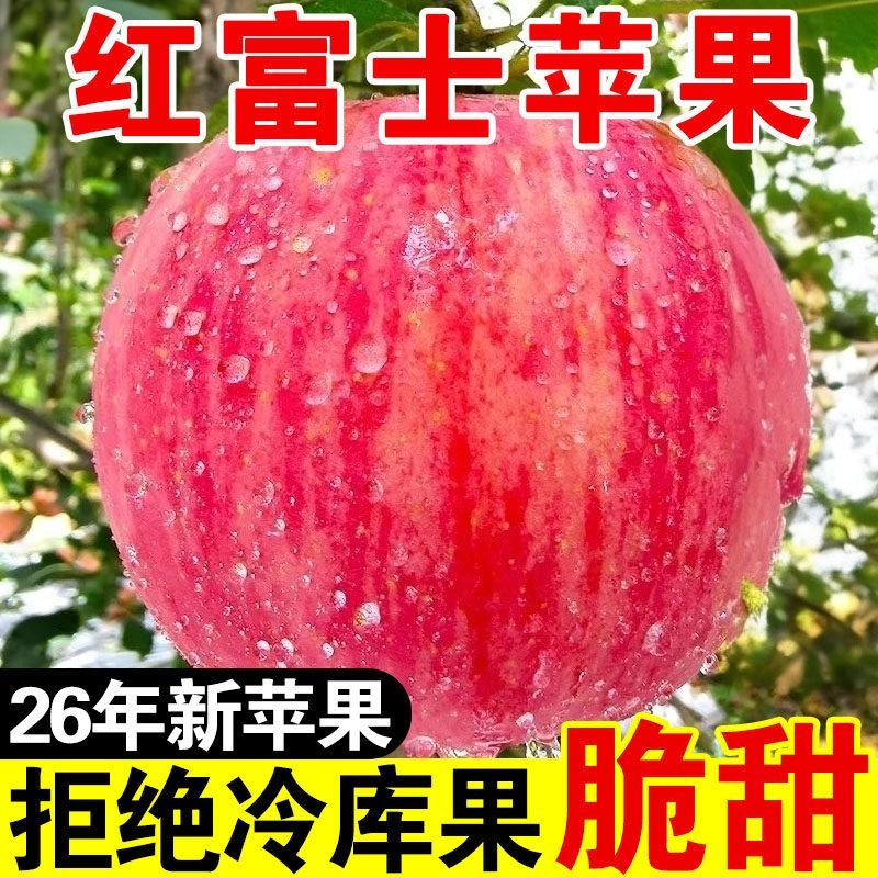 【彩箱9-10斤】陕西红富士苹果当季新鲜脆甜冰糖心丑苹果整箱批发